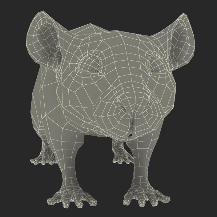 Rat 2 3D model