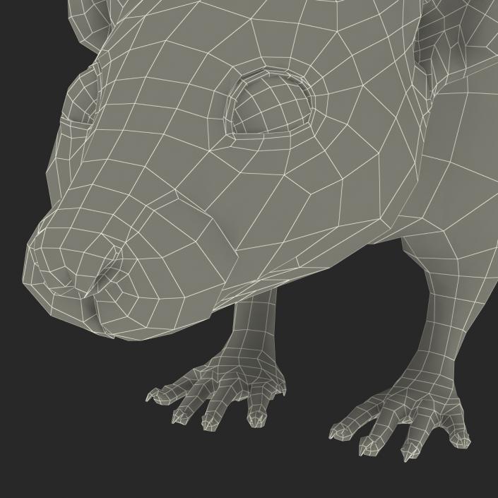 Rat 2 3D model