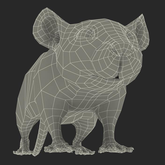 Rat 2 3D model