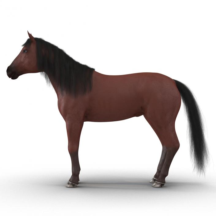 Horse with Fur 3D model