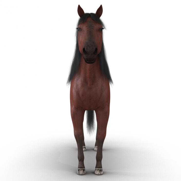 Horse with Fur 3D model