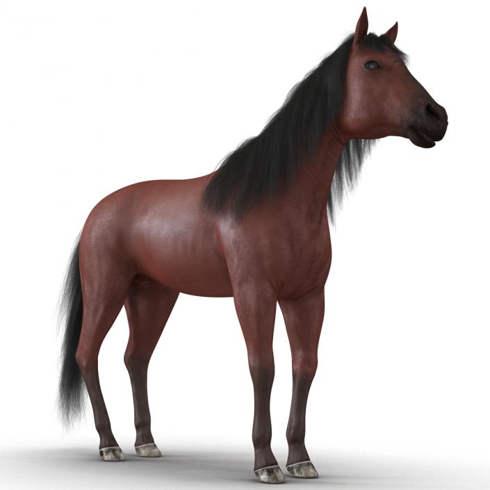 Horse with Fur 3D model