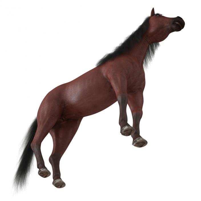 Horse with Fur 3D model