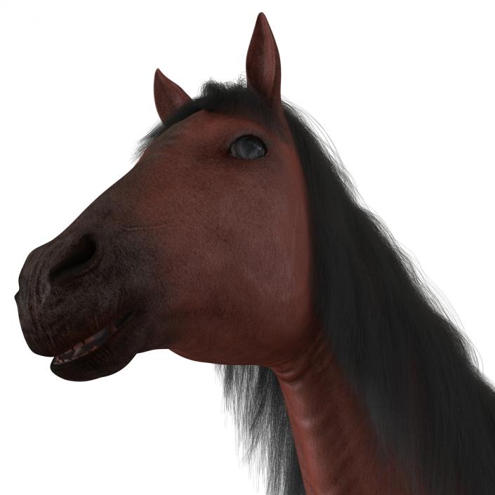 Horse with Fur 3D model