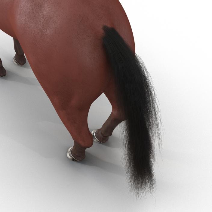 Horse with Fur 3D model