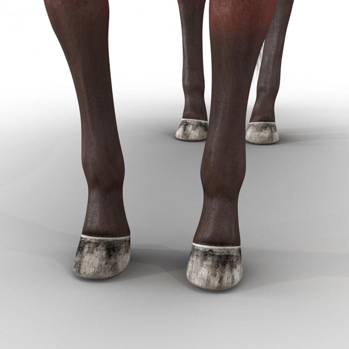 Horse with Fur 3D model