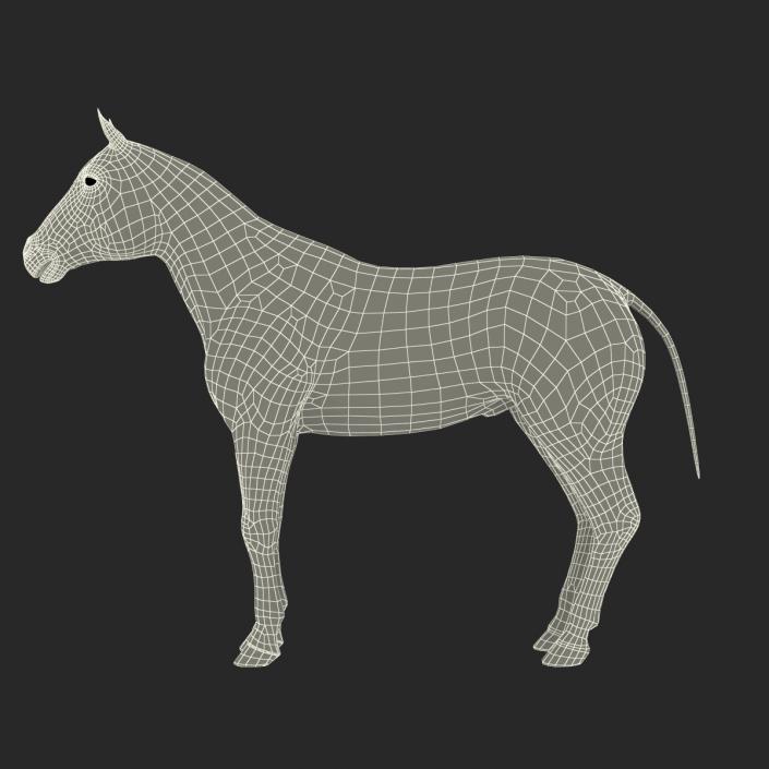 Horse with Fur 3D model