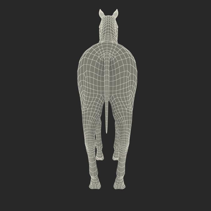 Horse with Fur 3D model