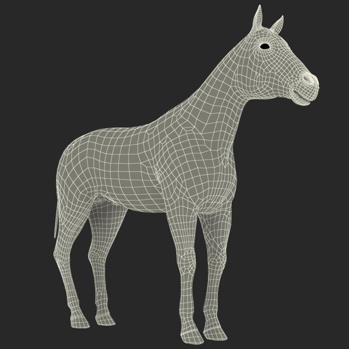 Horse with Fur 3D model