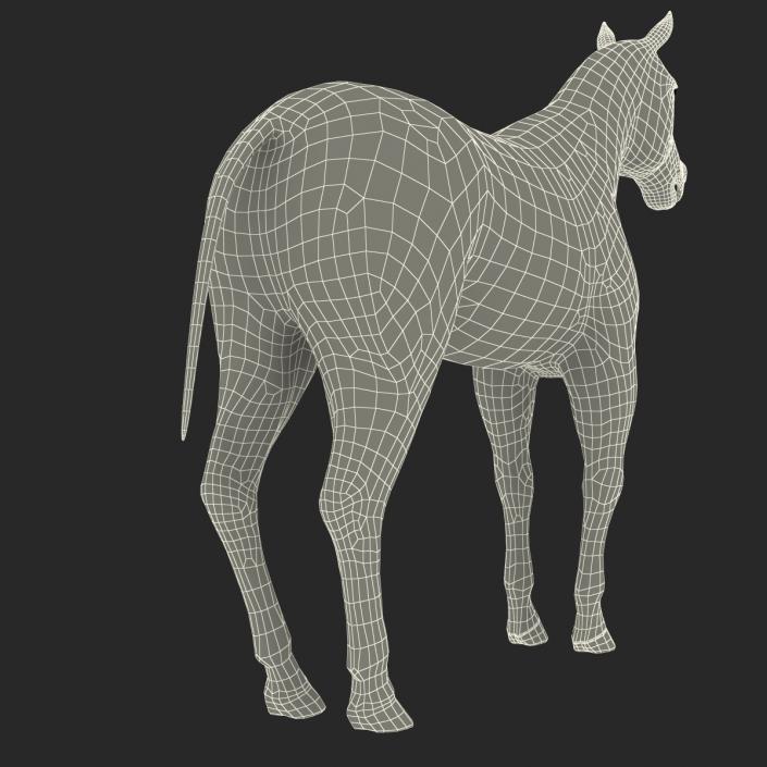 Horse with Fur 3D model