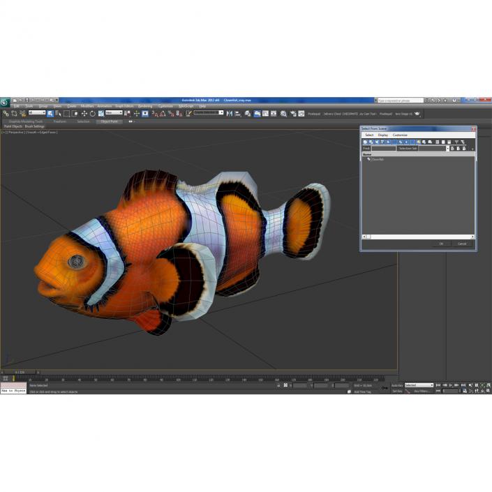 Clownfish 3D model