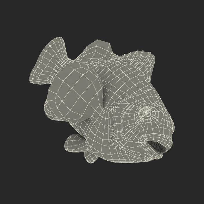 Clownfish 3D model