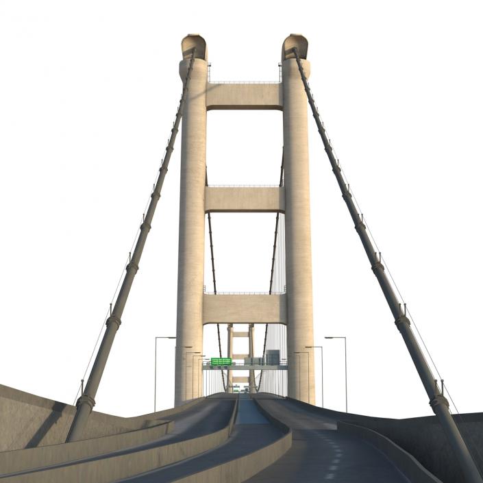 3D model Tsing Ma Bridge