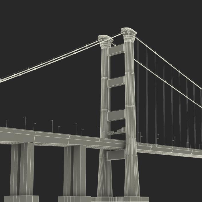 3D model Tsing Ma Bridge