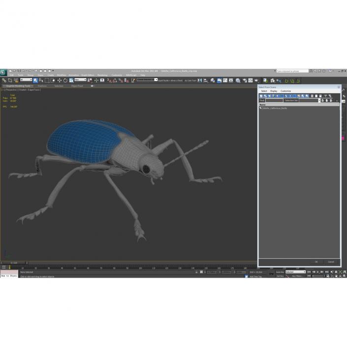 3D Gibbifer Californicus Beetle model