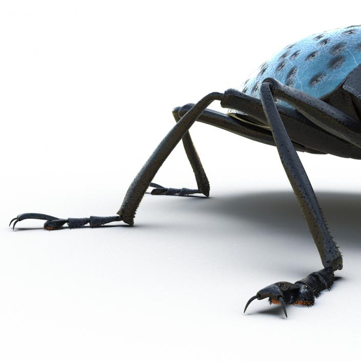 3D model Gibbifer Californicus Beetle 2