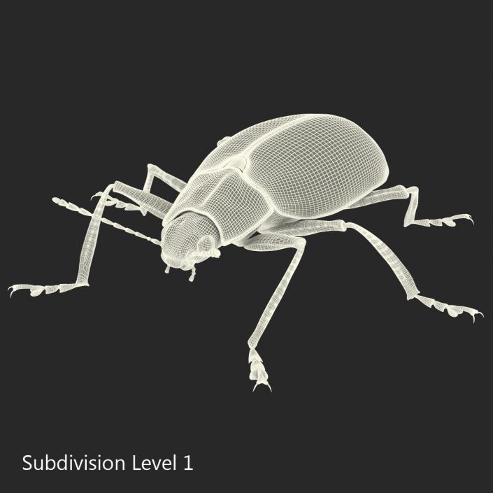 3D model Gibbifer Californicus Beetle 2