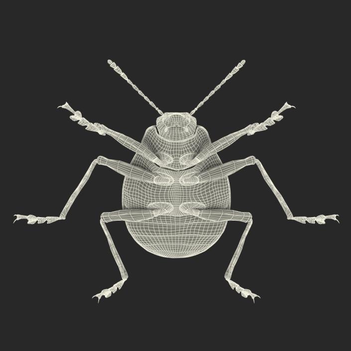 3D model Gibbifer Californicus Beetle 2