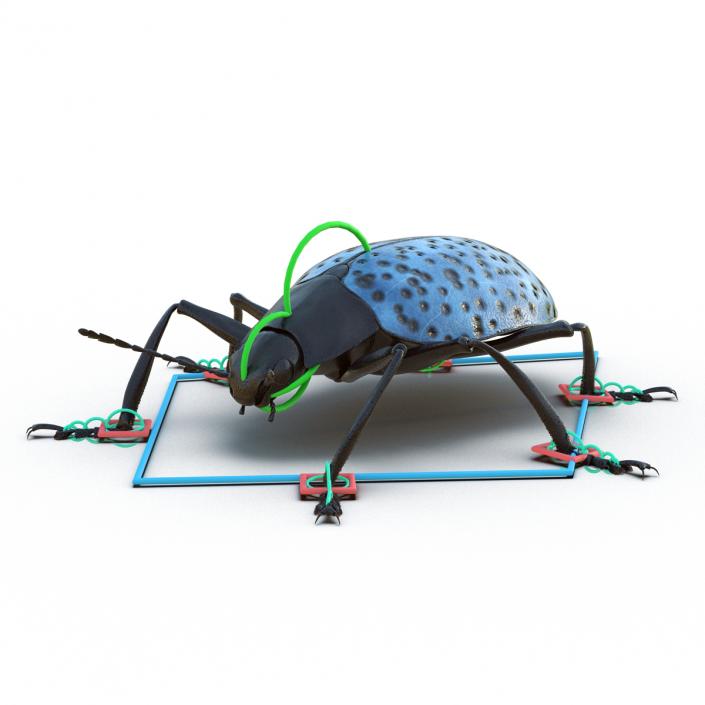 Gibbifer Californicus Beetle 2 Rigged 3D