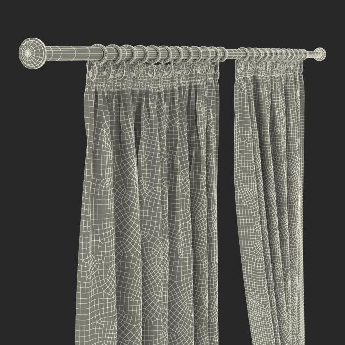 3D model Curtain 2 Brown