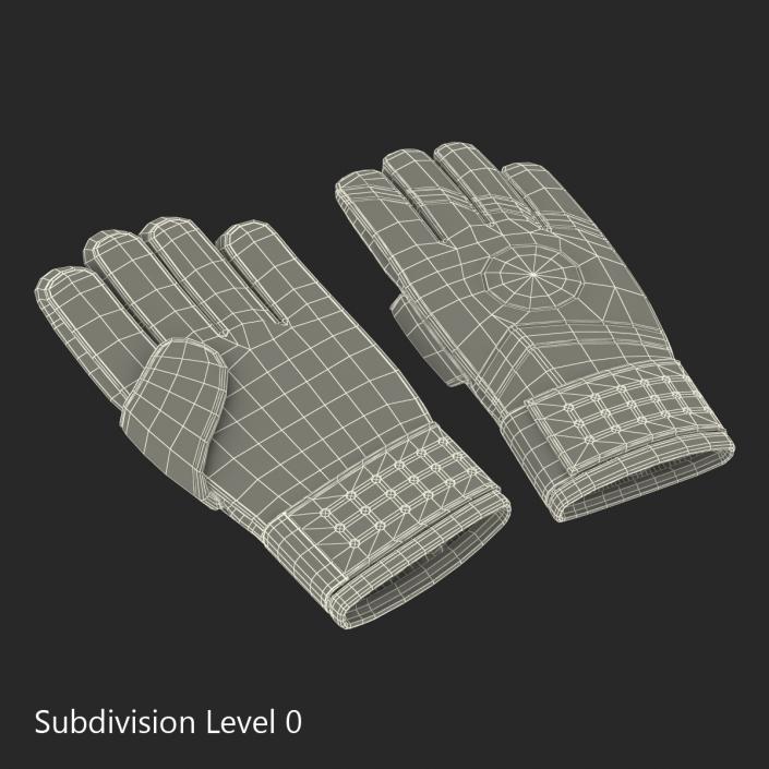 3D Goalie Gloves Nike model