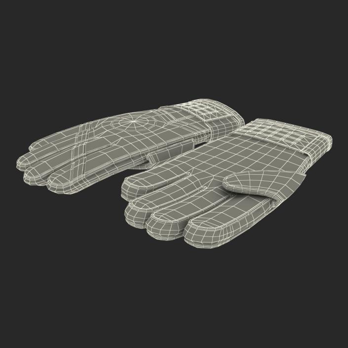 3D Goalie Gloves Nike model