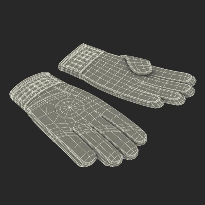 3D Goalie Gloves Nike model