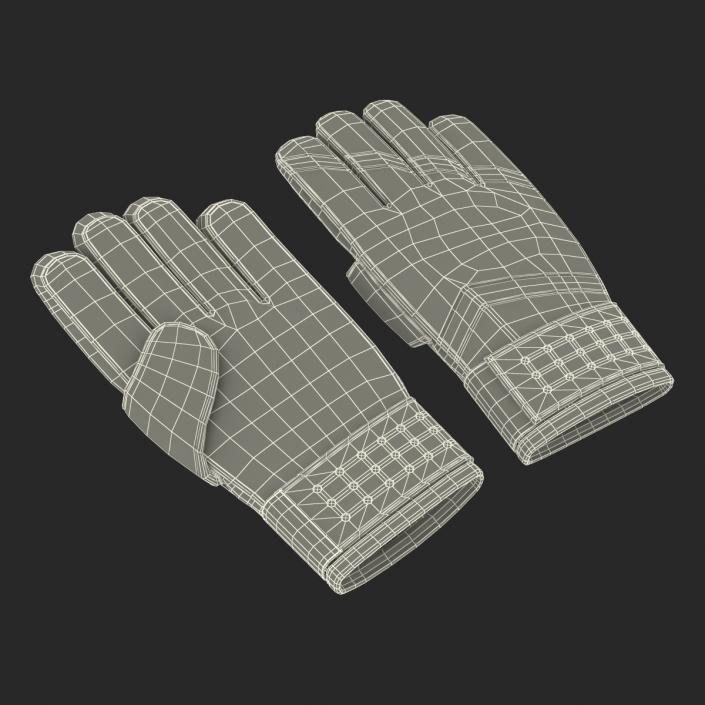 3D Goalie Gloves Puma model