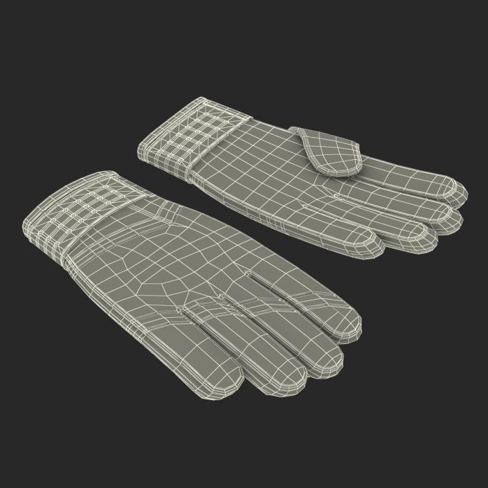 3D Goalie Gloves Puma model