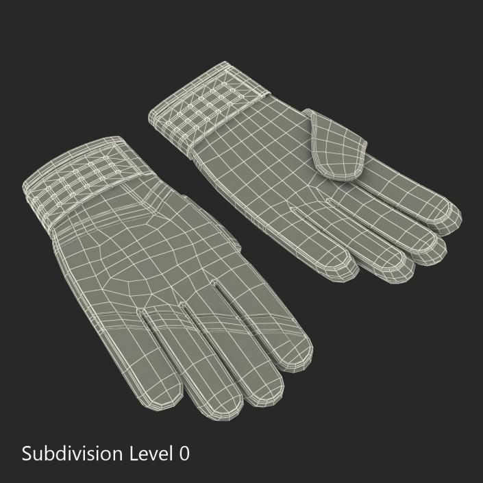 3D Goalie Gloves Puma model