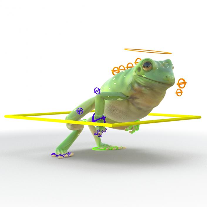 3D Australian Green Tree Frog Rigged model