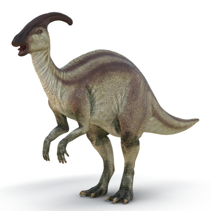 3D model Parasaurolophus