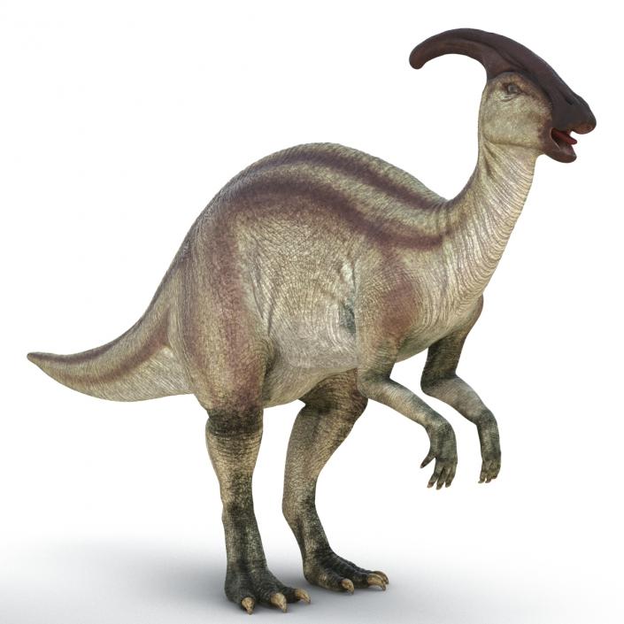 3D model Parasaurolophus