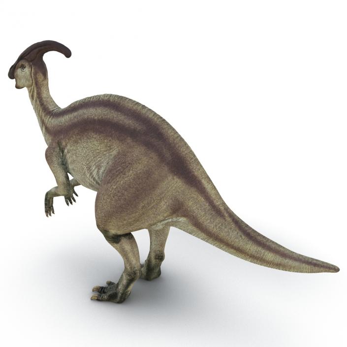 3D model Parasaurolophus