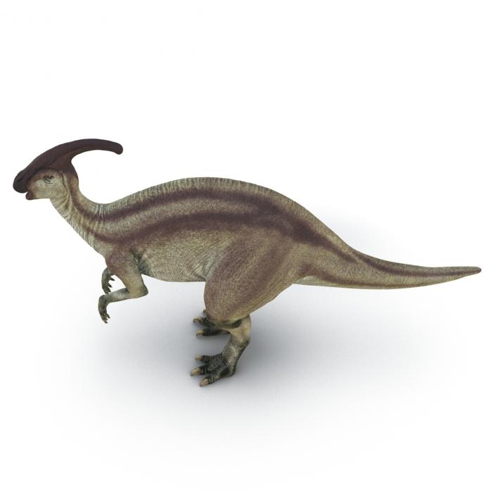 3D model Parasaurolophus