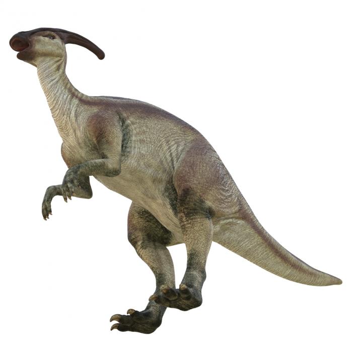 3D model Parasaurolophus