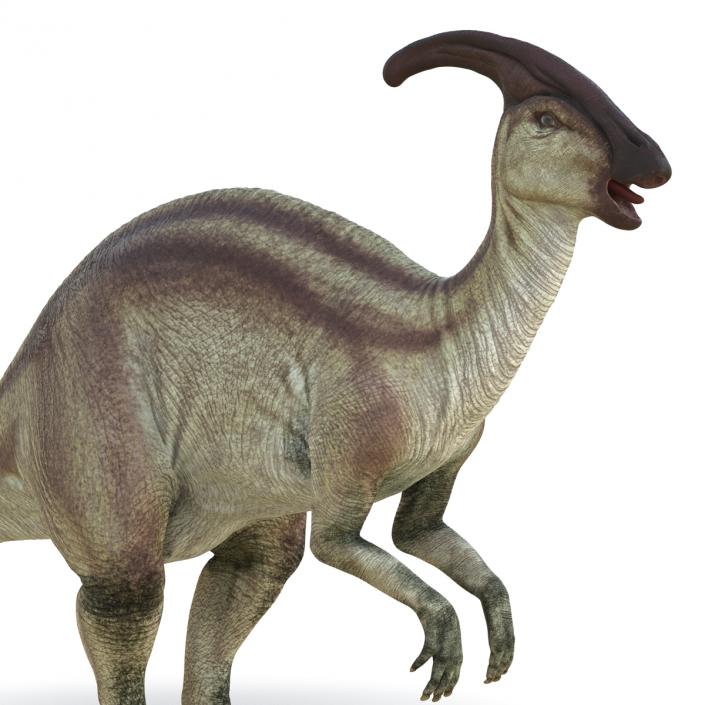 3D model Parasaurolophus