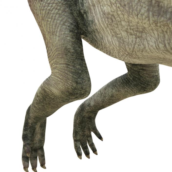 3D model Parasaurolophus