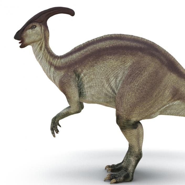 3D model Parasaurolophus