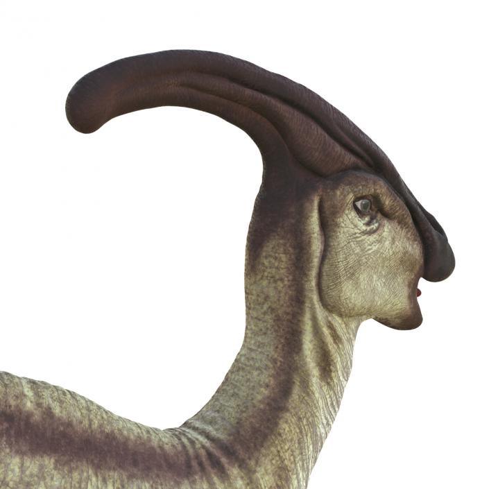 3D model Parasaurolophus