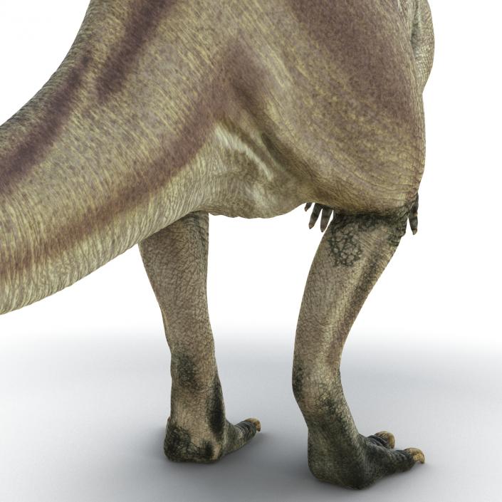 3D model Parasaurolophus