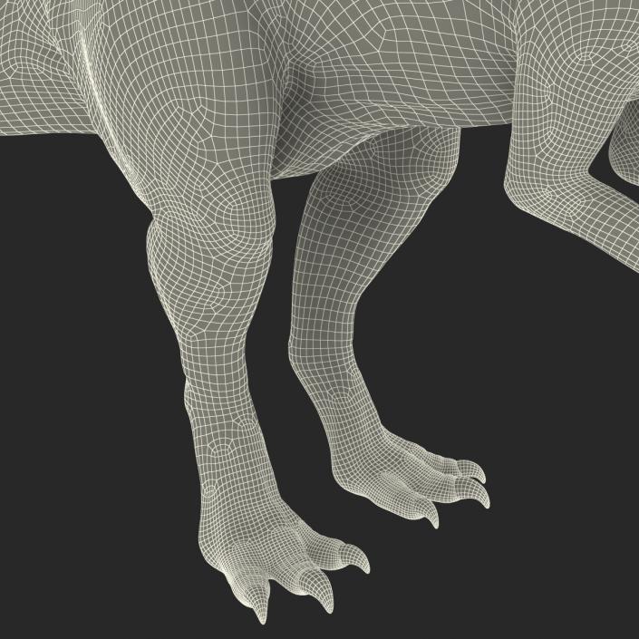 3D model Parasaurolophus