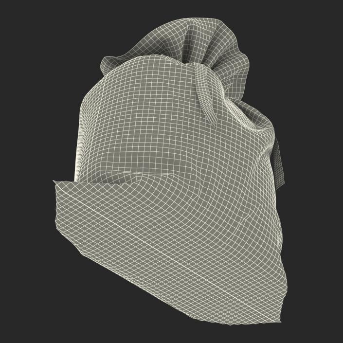 3D model Sack 2