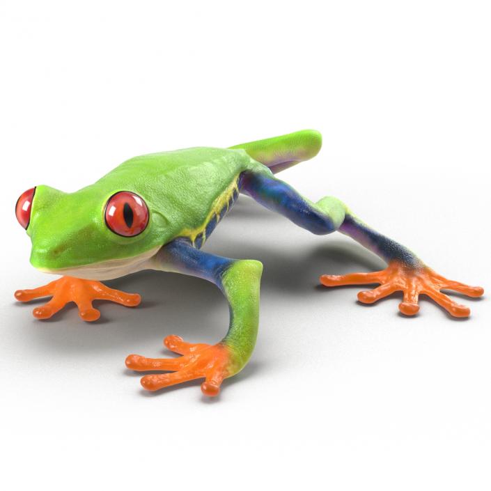 3D model Red Eyed Tree Frog Pose 3