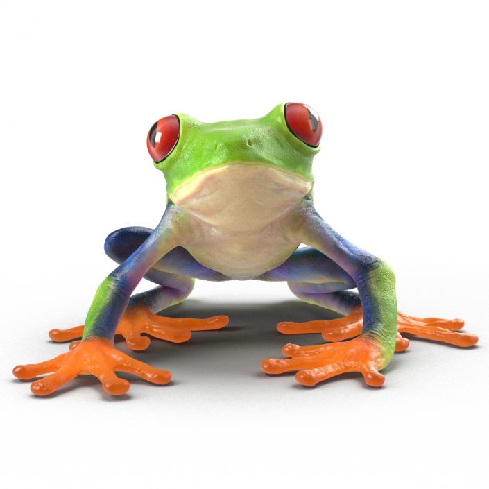 3D model Red Eyed Tree Frog Pose 4