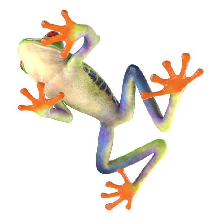 3D model Red Eyed Tree Frog Pose 3