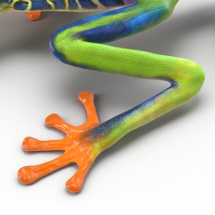 3D model Red Eyed Tree Frog Pose 3