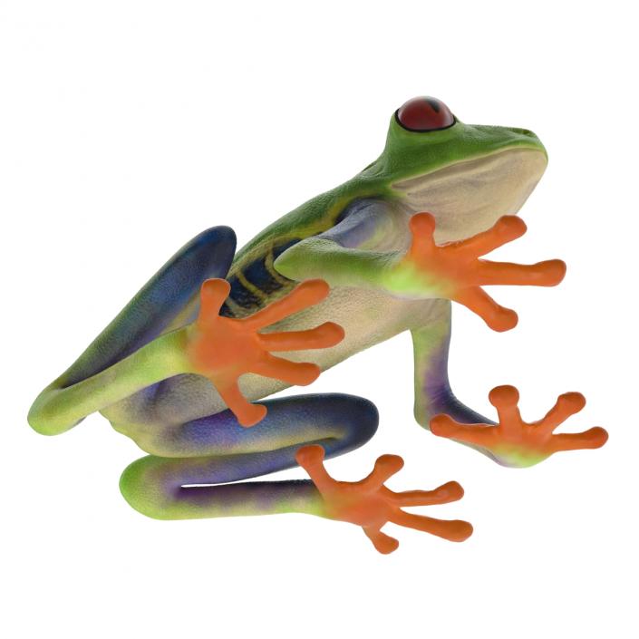 3D model Red Eyed Tree Frog Pose 4