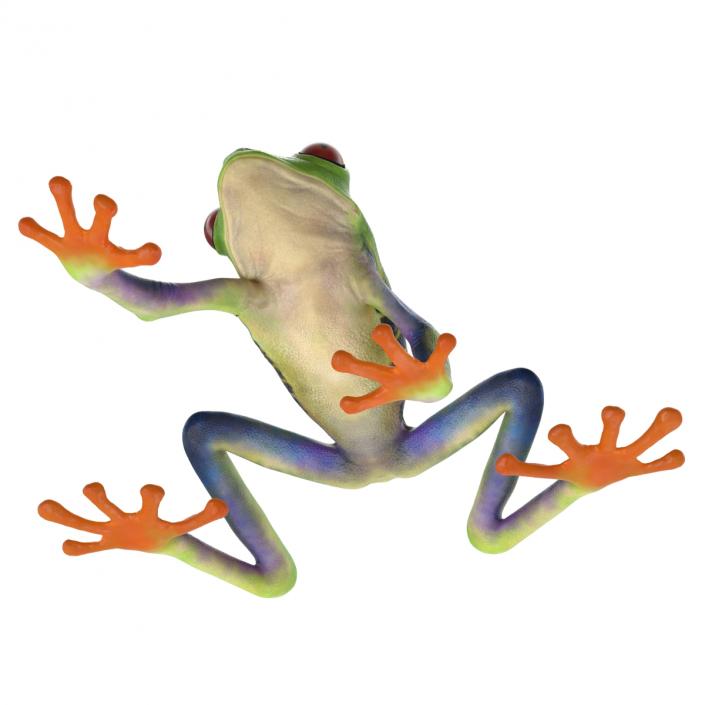 3D model Red Eyed Tree Frog Pose 2