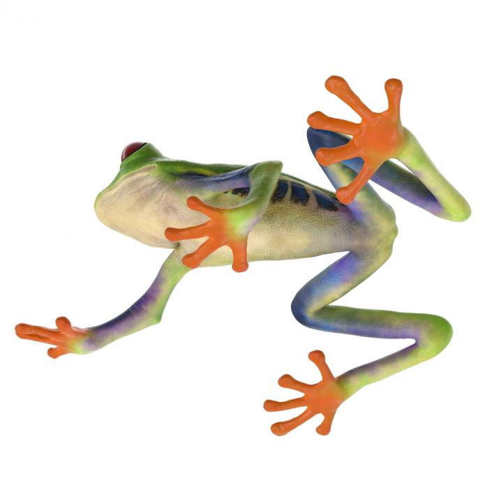 3D model Red Eyed Tree Frog Pose 2